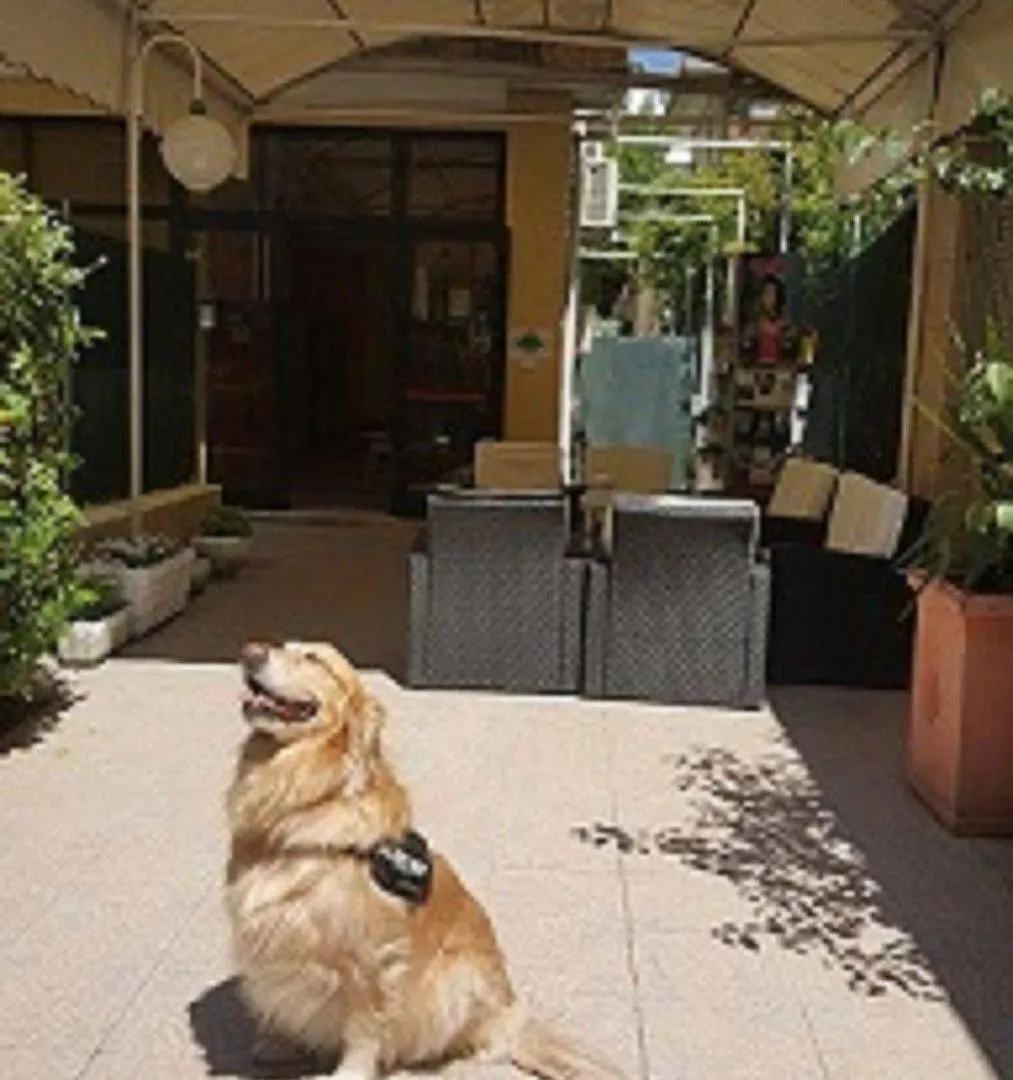 Hotel New Happy Rimini Itálie